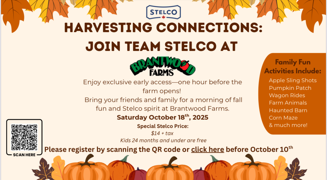 Brantwood Farms Day Barn Activities